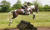 Activities at Arley Moss Equestrian