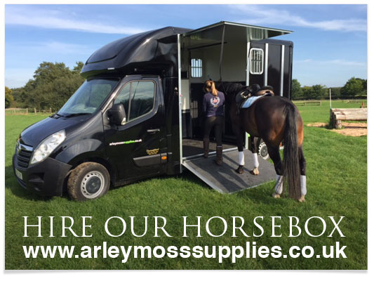 Arley Moss Now Sell Rugs online